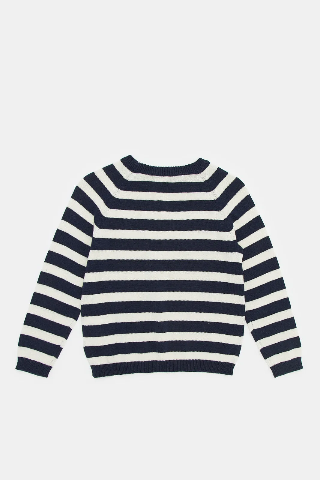 Infant Boys Navy And White Striped Pullover